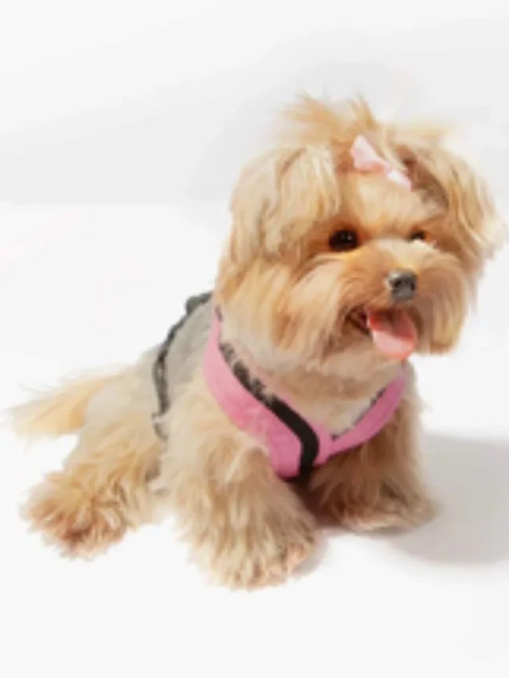 NWT ~ Gooby's Escape Free Comfort X One Dog Harness, Medium Chest (16